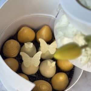 Alternative view of Spring in Bloom